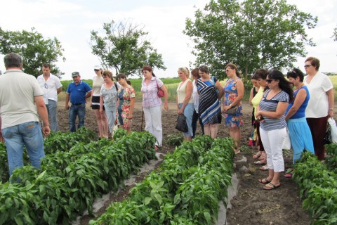 Для сообщества женщин-сельхозпроизводителей прошел семинар по технологии выращивания овощей в открытом грунте