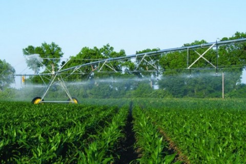 Правительство намерено оказать поддержку сельхозпроизводителям путем снижения тарифа на услуги по подаче воды для целей орошения