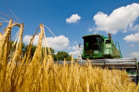 Фиксированный сельхозналог может вступить в силу 1 июля