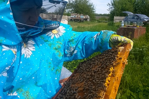 Промышленные подходы в пчеловодстве