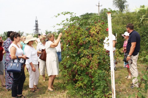 Визит по обмену опытом «Выращивание ягод»
