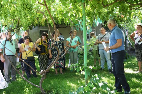 Семинар — практическое занятие «Выращивание винограда»
