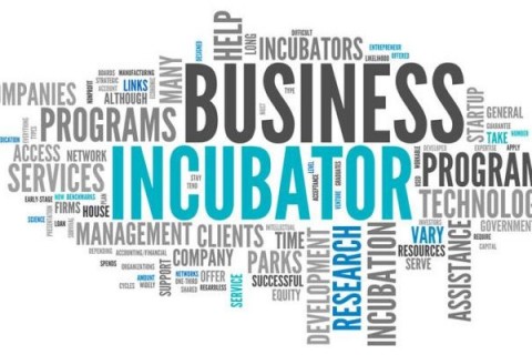 Бизнес-инкубатор как форма поддержки молодежных стартапов
