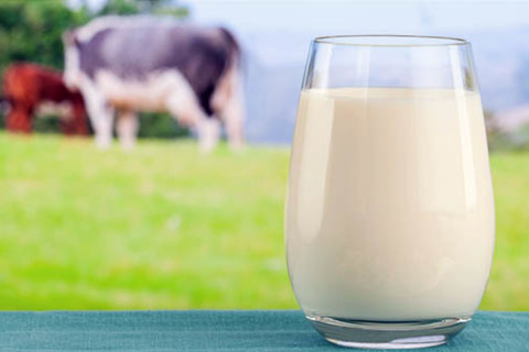 Обеспеченность Приднестровья молоком собственного производства: как решается эта задача