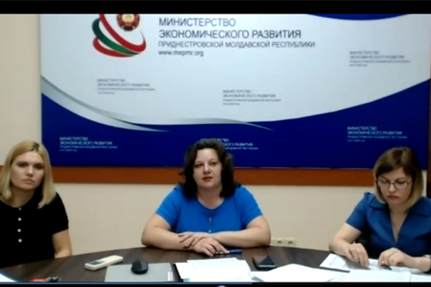 Об опыте восстановления экономики в посткарантинный период в Приднестровье и зарубежом говорили на видеоконференции, организованной Бизнес-школой ТПП